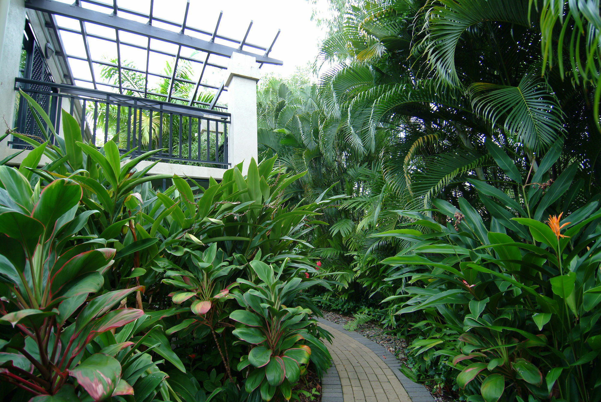 Trinity Beach Club Holiday Apartments Exterior photo